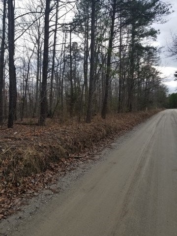 Ridge Road, Unit 1 Arvonia, VA 23004 - Photo 1 of 1 Gallery Image 1