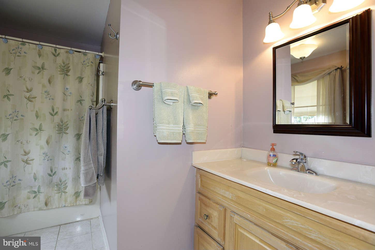 11439 Rowley Road Clarksville, MD 21029 - Photo 18 of 30 Bath (Master)