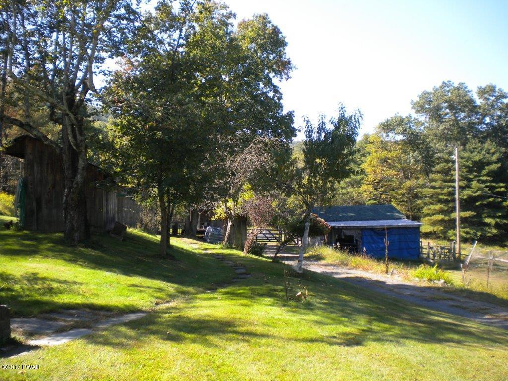 204 Lcpl Jacob Beisel Road Lackawaxen, PA 18435 - Photo 9 of 39 driveway