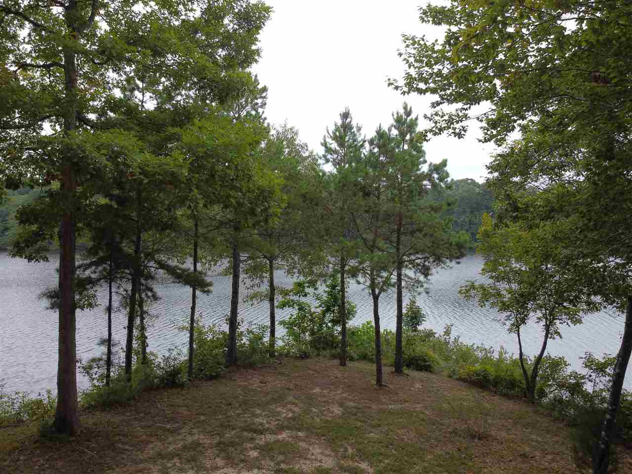 1155 Shawnee Road Ashland, MS 38603 - Photo 8 of 16 Gallery Image 8