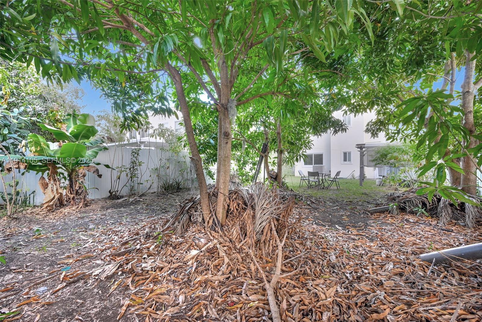 26100 Southwest 134th Place Homestead, FL 33032 - Photo 35 of 39 a view of a yard with plants and trees