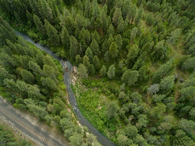 24816 North Perry Road Colbert, WA 99005 - Photo 17 of 20