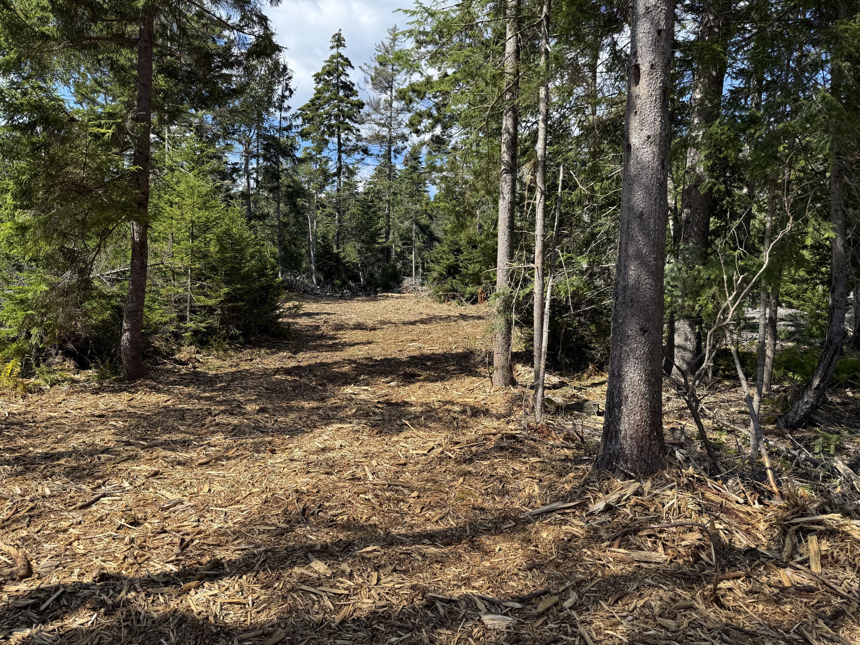 1552 Turtle Head Road Islesboro, ME 04848 - Photo 11 of 19 2025-08-31 14.23.10