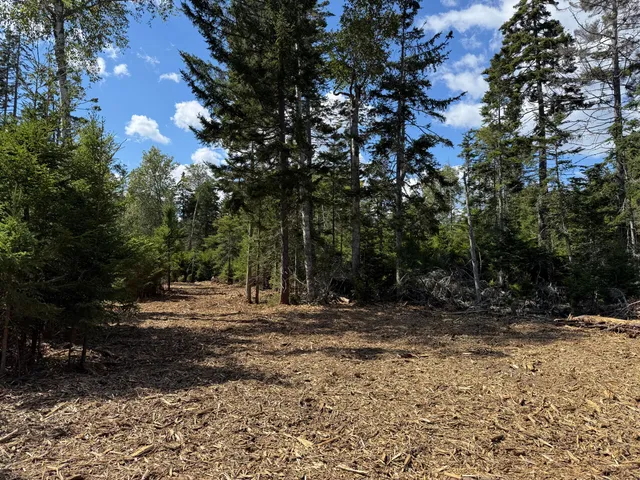 $325,000 | 1552 Turtle Head Road, Islesboro, ME 04848