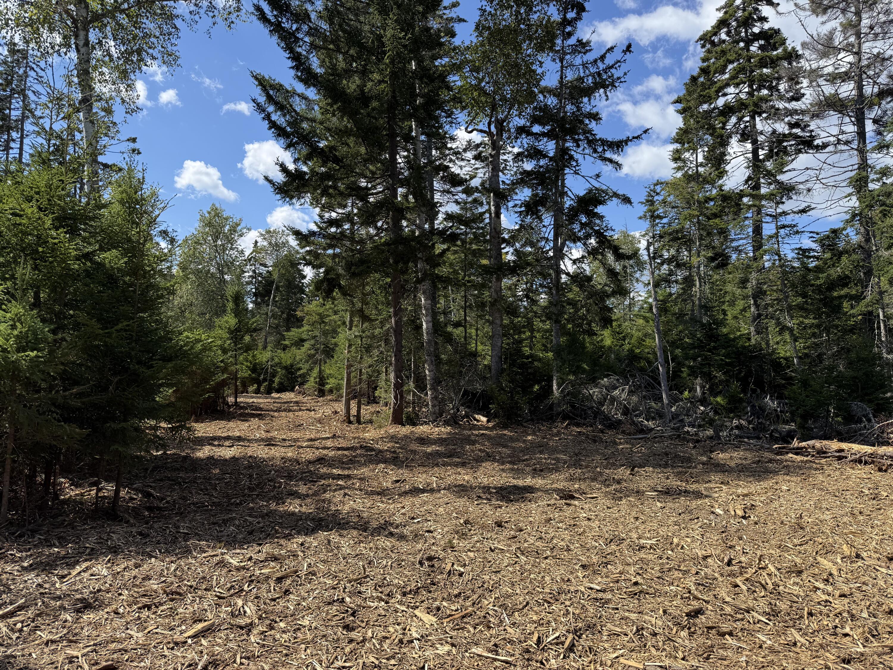 1552 Turtle Head Road Islesboro, ME 04848 - Photo 12 of 19 2025-08-31 14.23.34