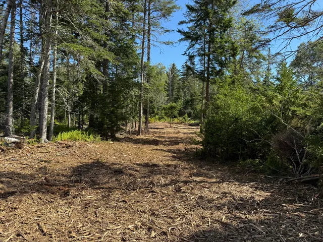 $325,000 | 1552 Turtle Head Road, Islesboro, ME 04848