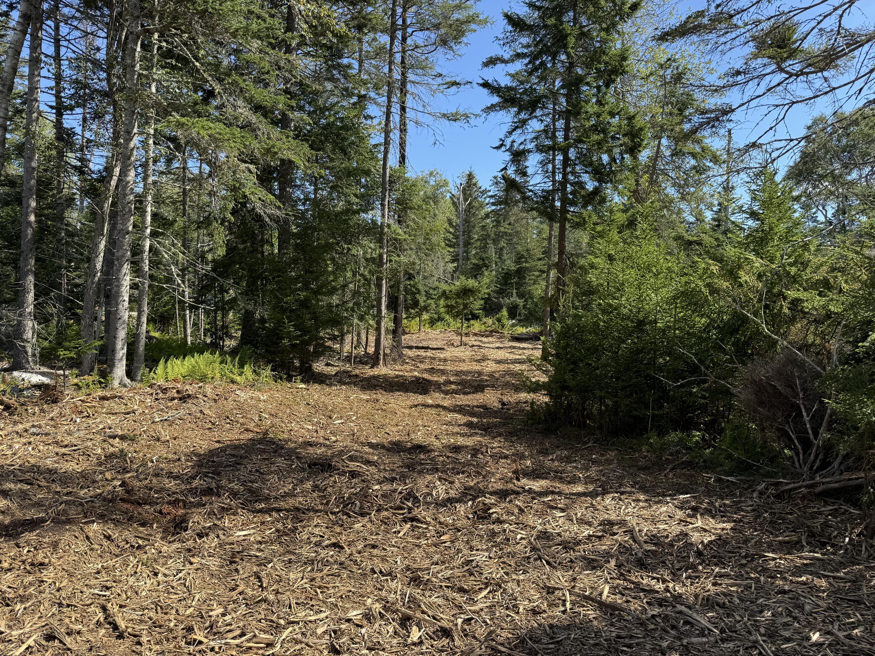 1552 Turtle Head Road Islesboro, ME 04848 - Photo 13 of 19 2025-08-31 14.23.52