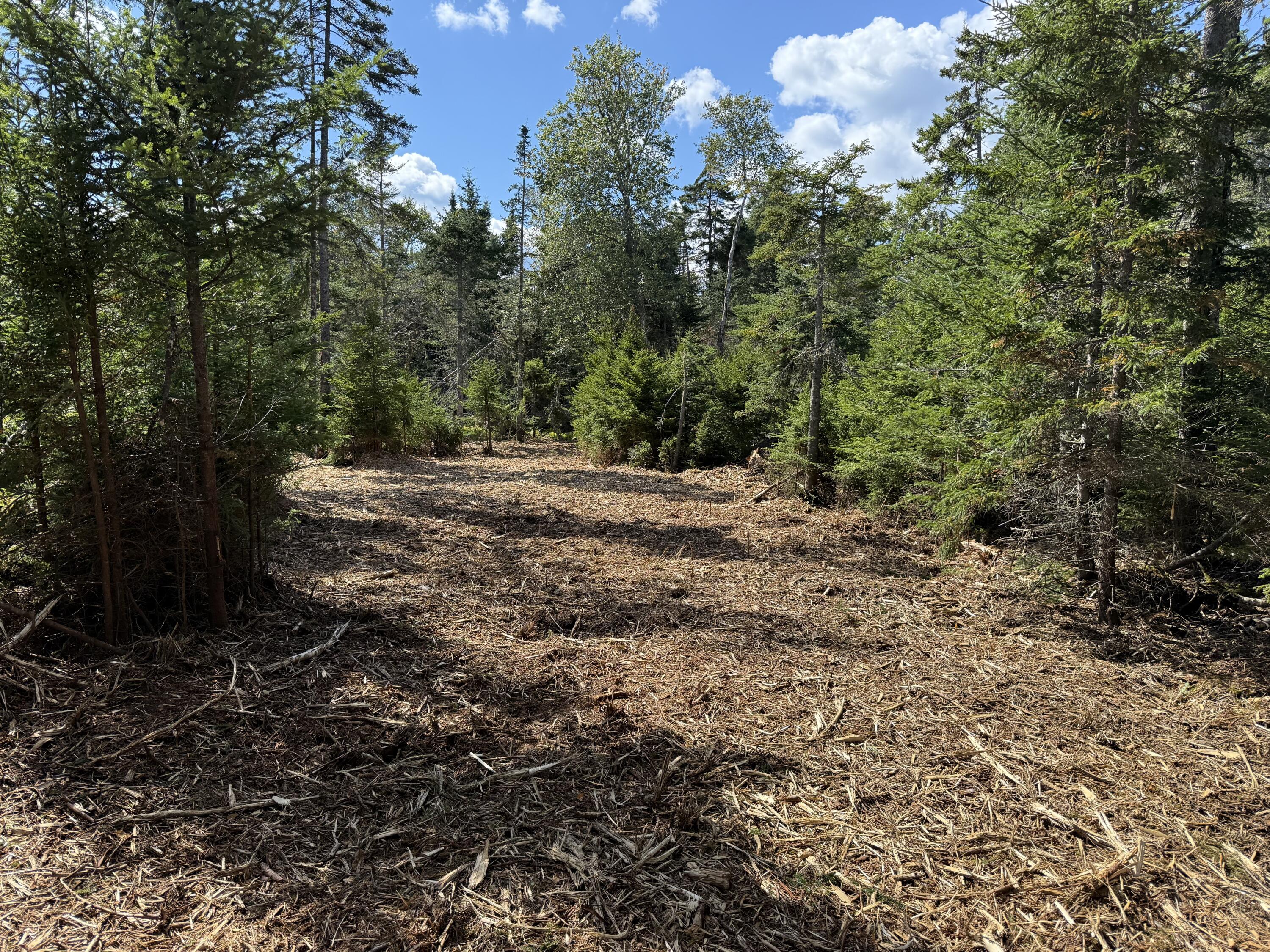 1552 Turtle Head Road Islesboro, ME 04848 - Photo 14 of 19 2025-08-31 14.24.14