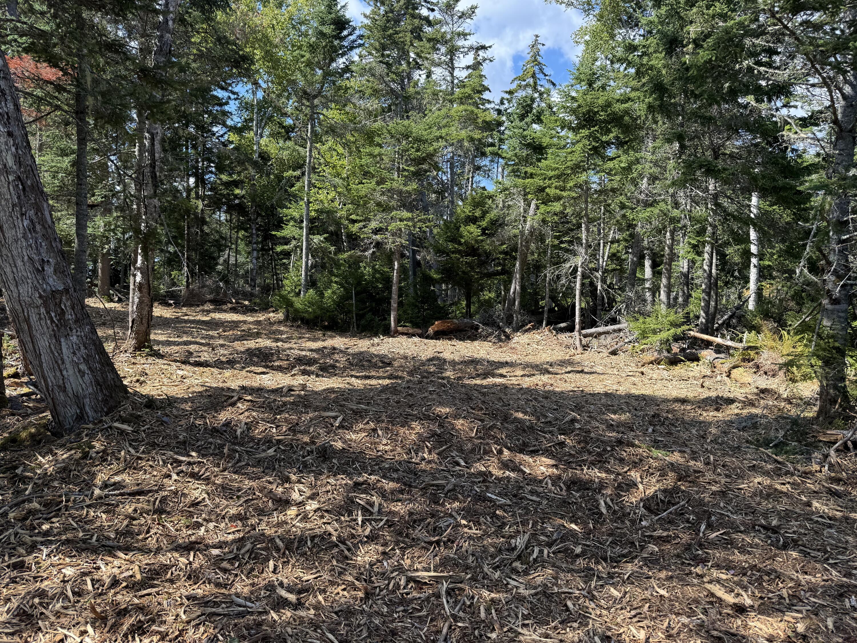 1552 Turtle Head Road Islesboro, ME 04848 - Photo 16 of 19 2025-08-31 14.25.04