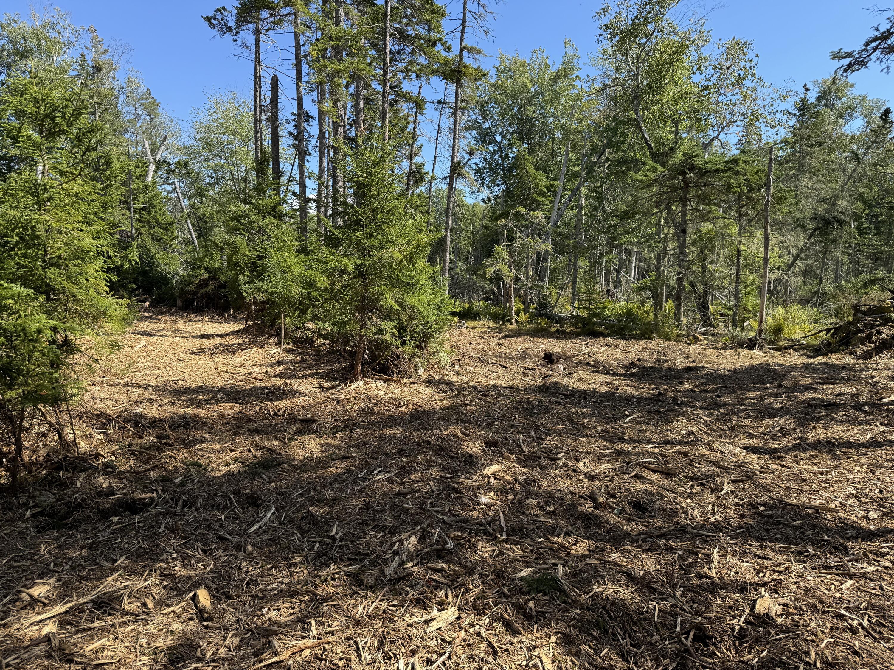 1552 Turtle Head Road Islesboro, ME 04848 - Photo 17 of 19 2025-08-31 14.25.11