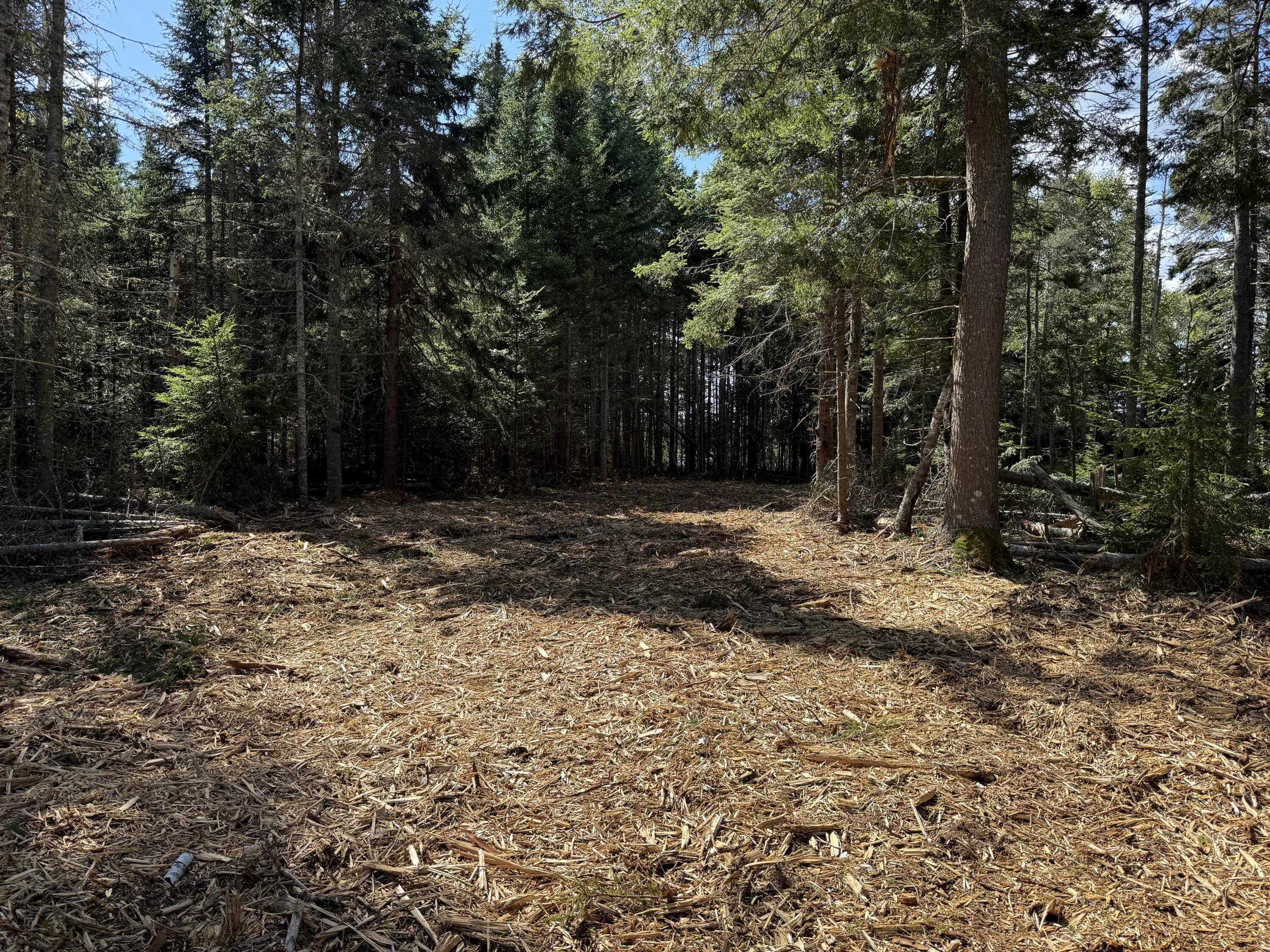 1552 Turtle Head Road Islesboro, ME 04848 - Photo 18 of 19 2025-08-31 14.25.41