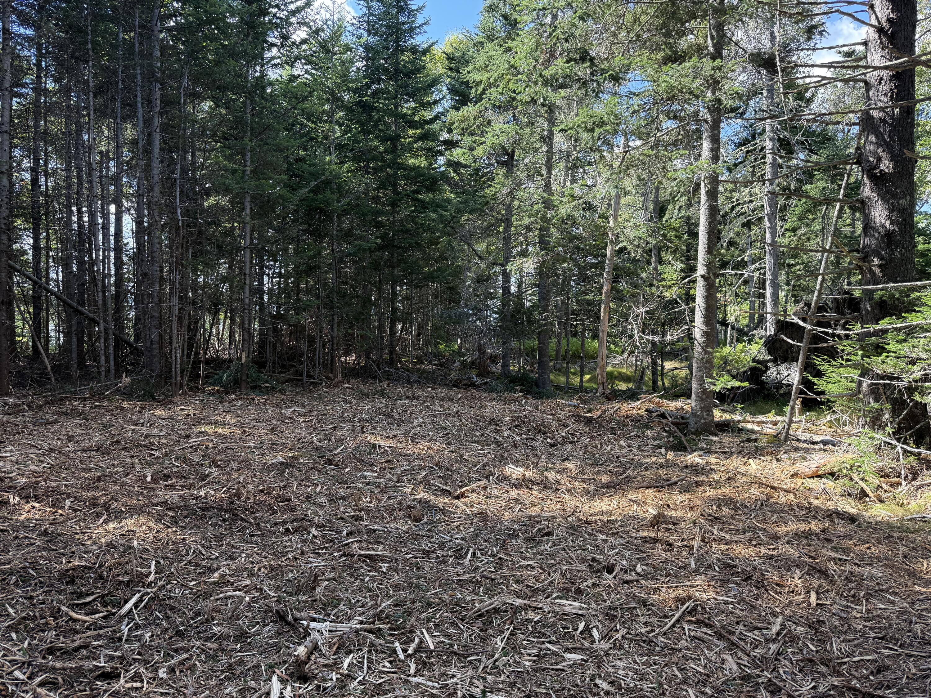 1552 Turtle Head Road Islesboro, ME 04848 - Photo 19 of 19 2025-08-31 14.26.17