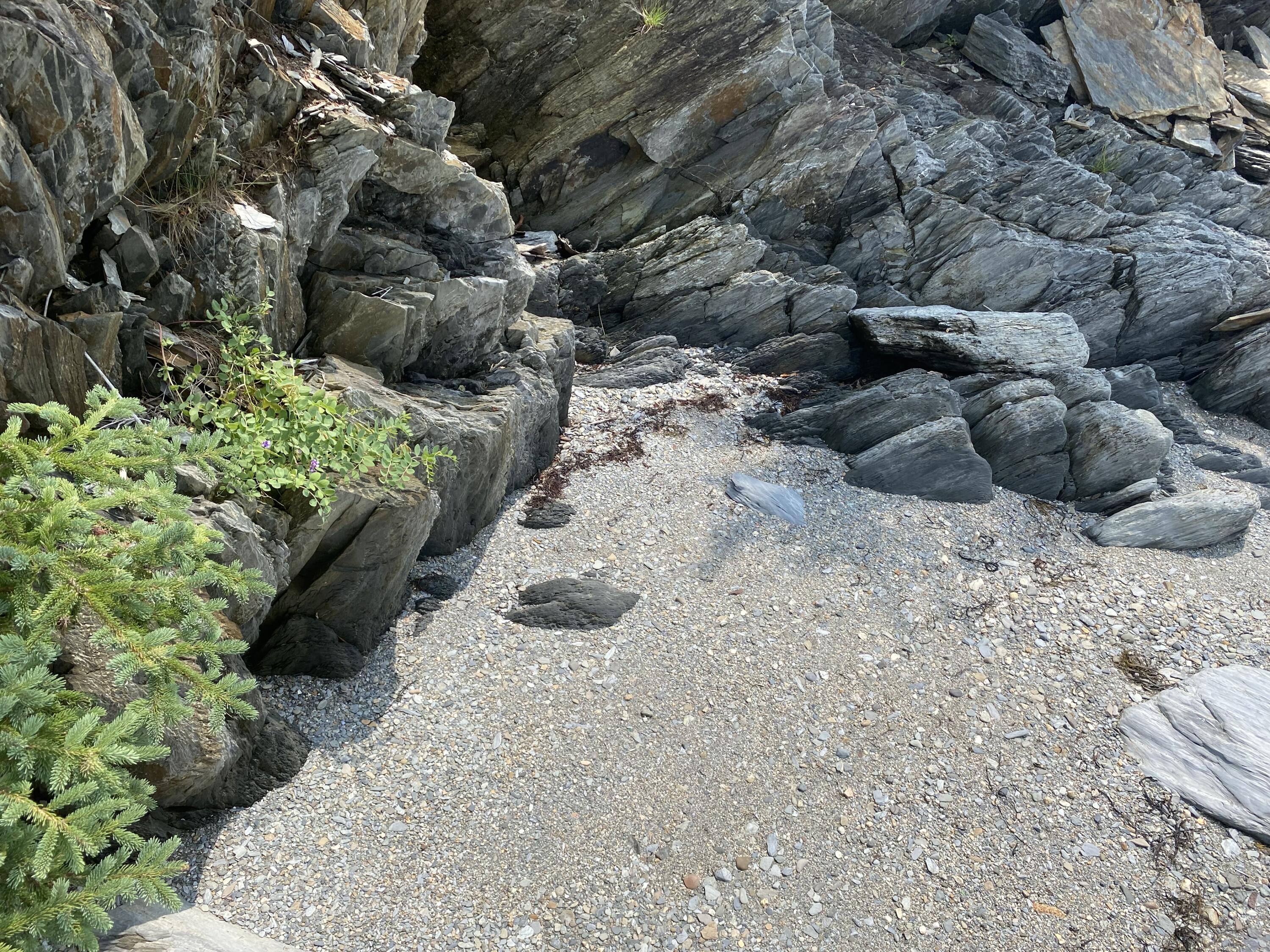 1552 Turtle Head Road Islesboro, ME 04848 - Photo 2 of 19 Beach