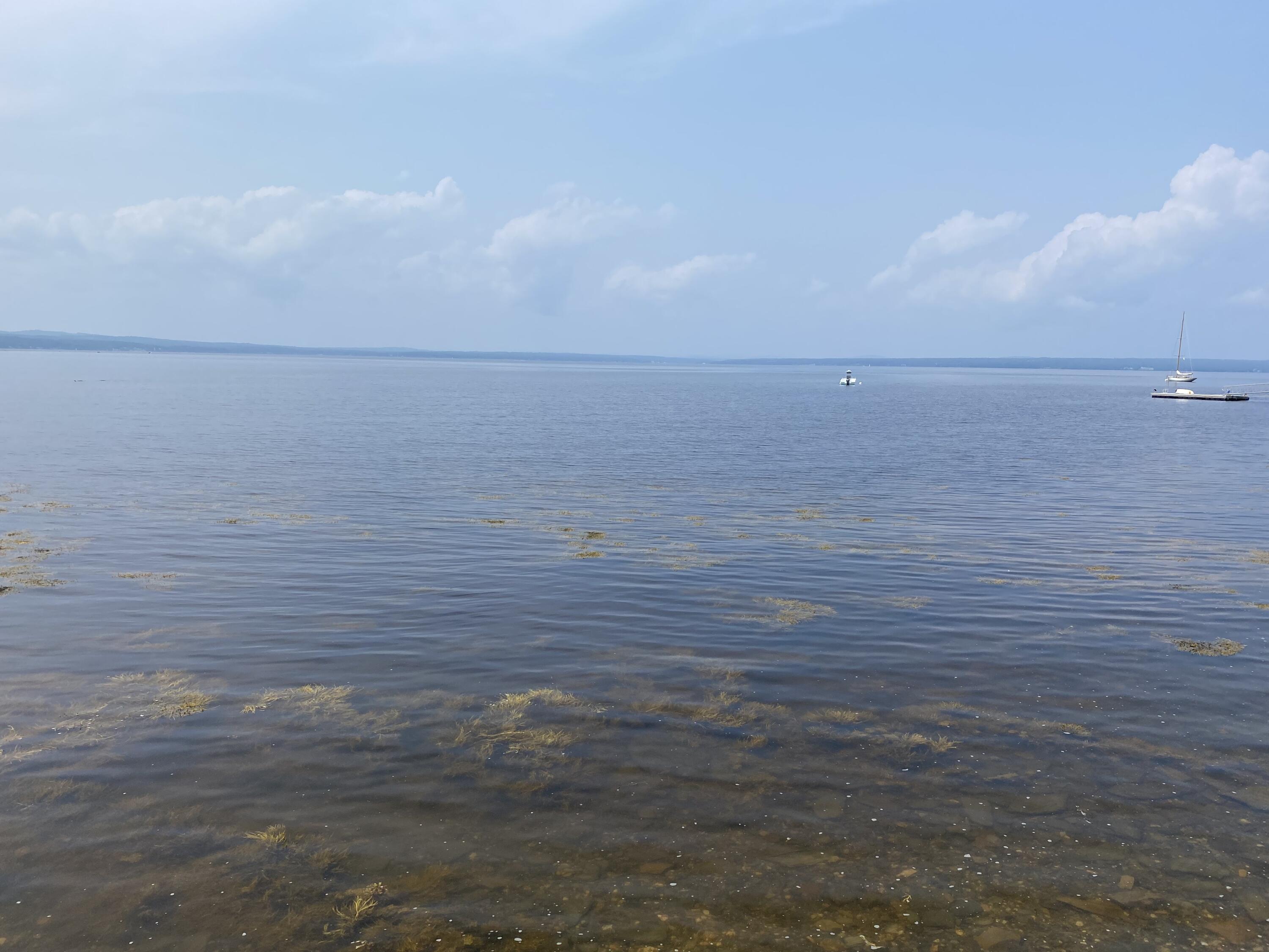 1552 Turtle Head Road Islesboro, ME 04848 - Photo 4 of 19 Westerly view