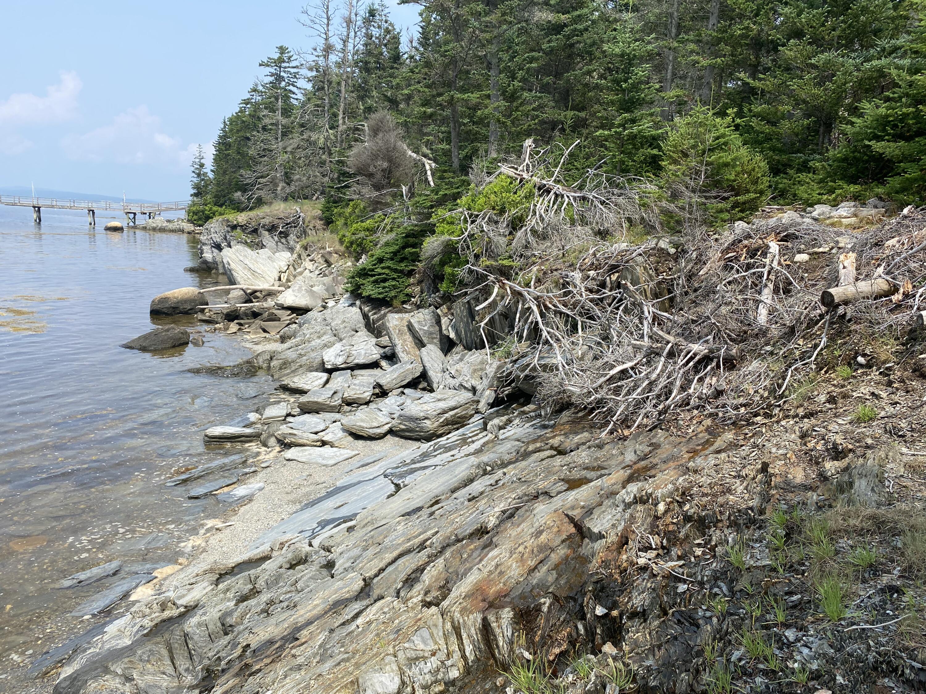 1552 Turtle Head Road Islesboro, ME 04848 - Photo 6 of 19 Bold frontage