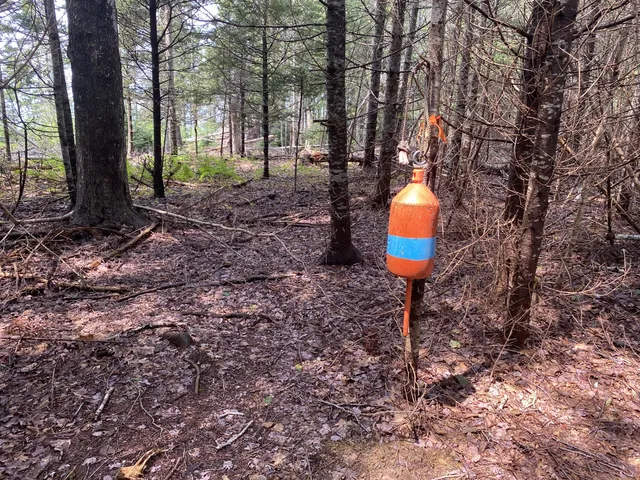 $325,000 | 1552 Turtle Head Road, Islesboro, ME 04848