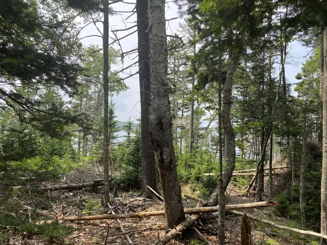 $325,000 | 1552 Turtle Head Road, Islesboro, ME 04848