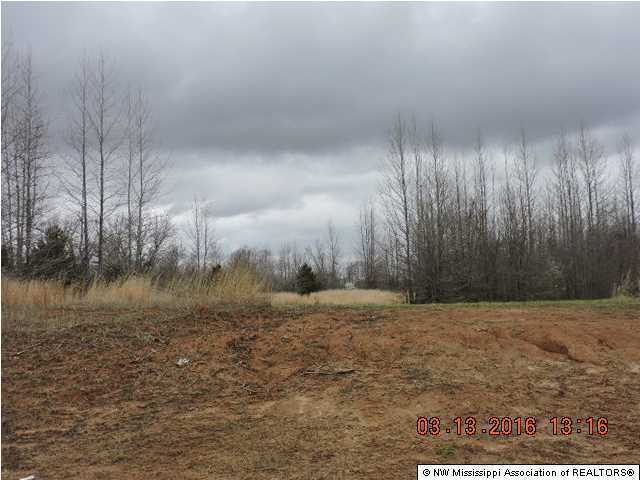 13598 Fairview Road Byhalia, MS 38611 - Photo 1 of 5 Primary Photo
