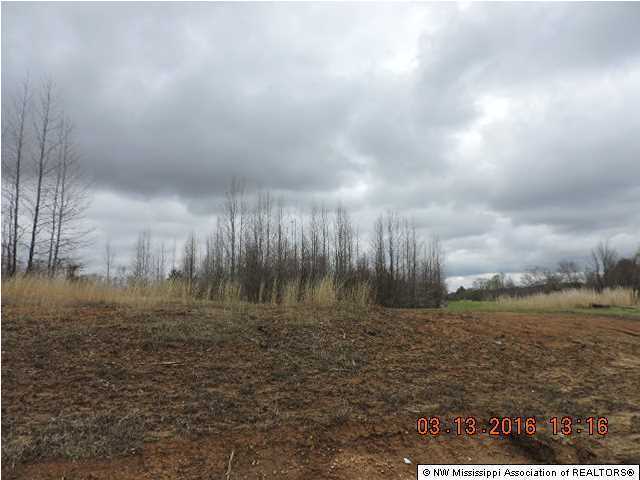 13598 Fairview Road Byhalia, MS 38611 - Photo 3 of 5 Additional Photo