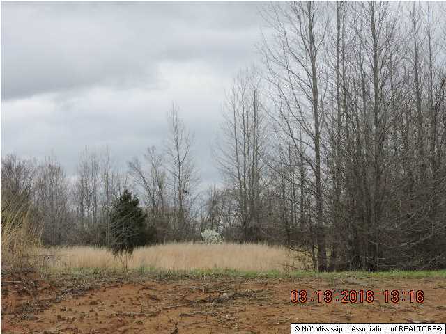 13598 Fairview Road Byhalia, MS 38611 - Photo 4 of 5 Additional Photo