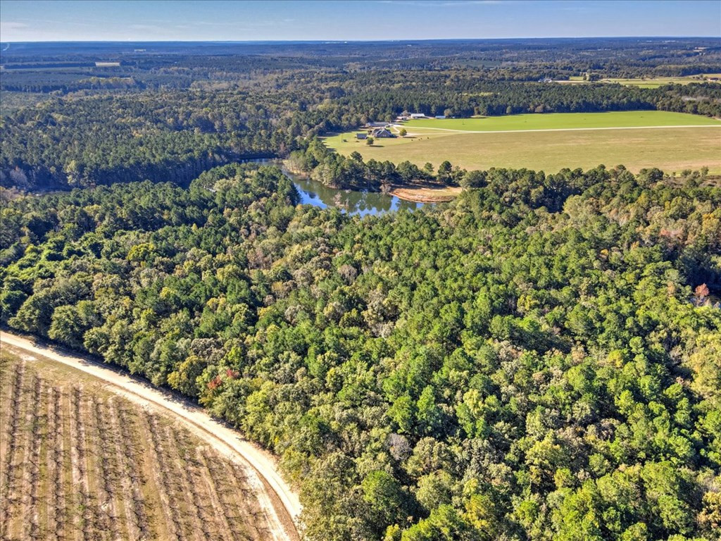 0 Broomstraw Road Johnston, SC 29832 - Photo 8 of 22
