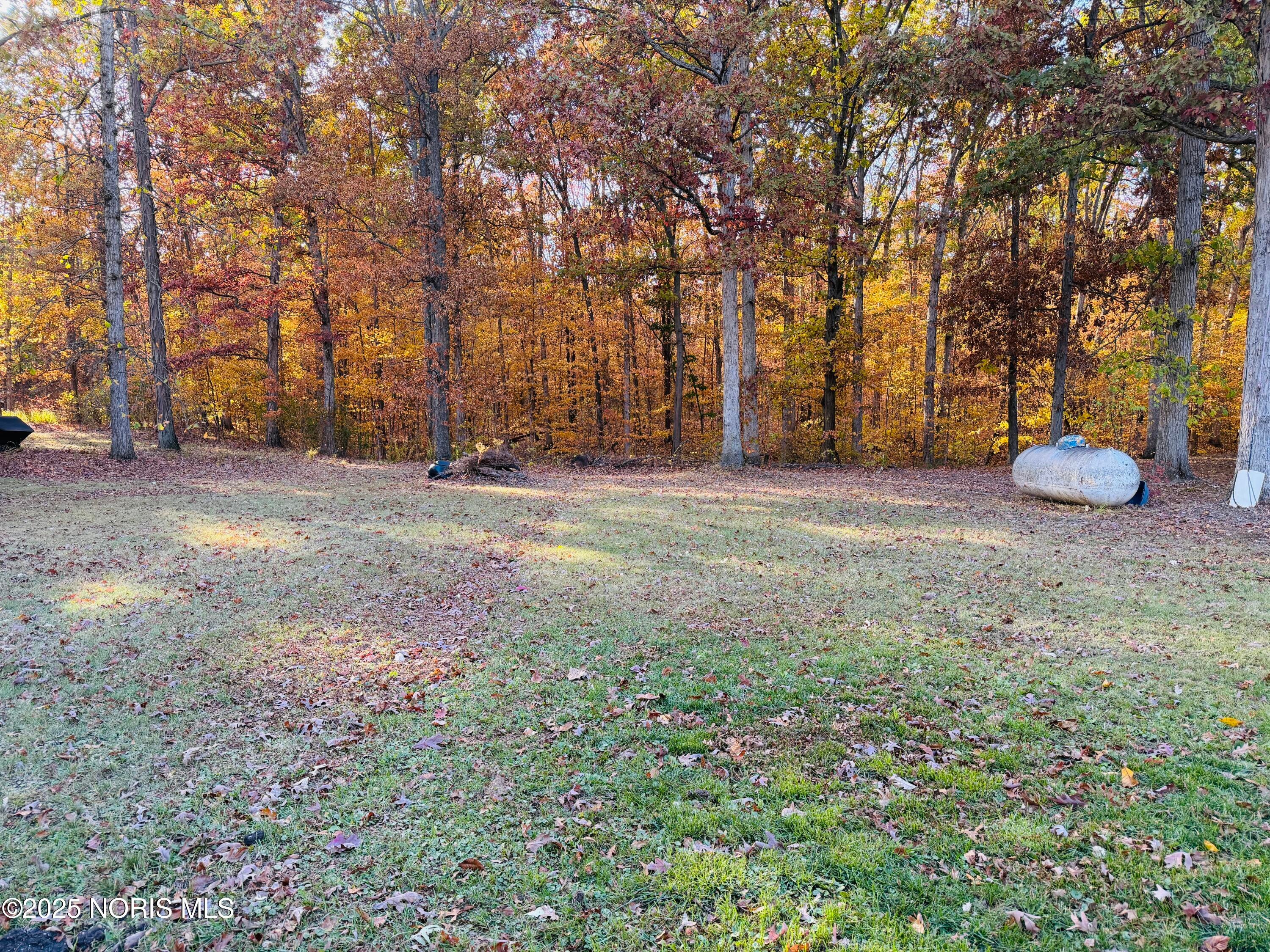 17334 Highland Center Road Defiance, OH 43512 - Photo 14 of 14 Backyard