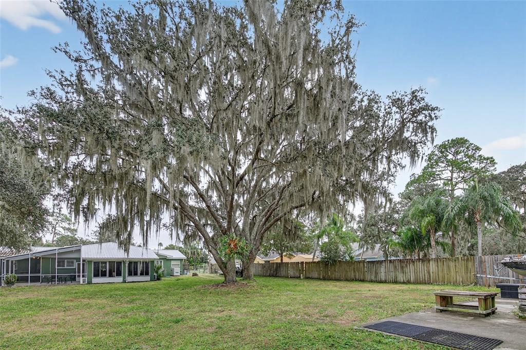 2218 River Ridge Road DeLand, FL 32720 - Photo 34 of 52 a view of a yard with a house in the background