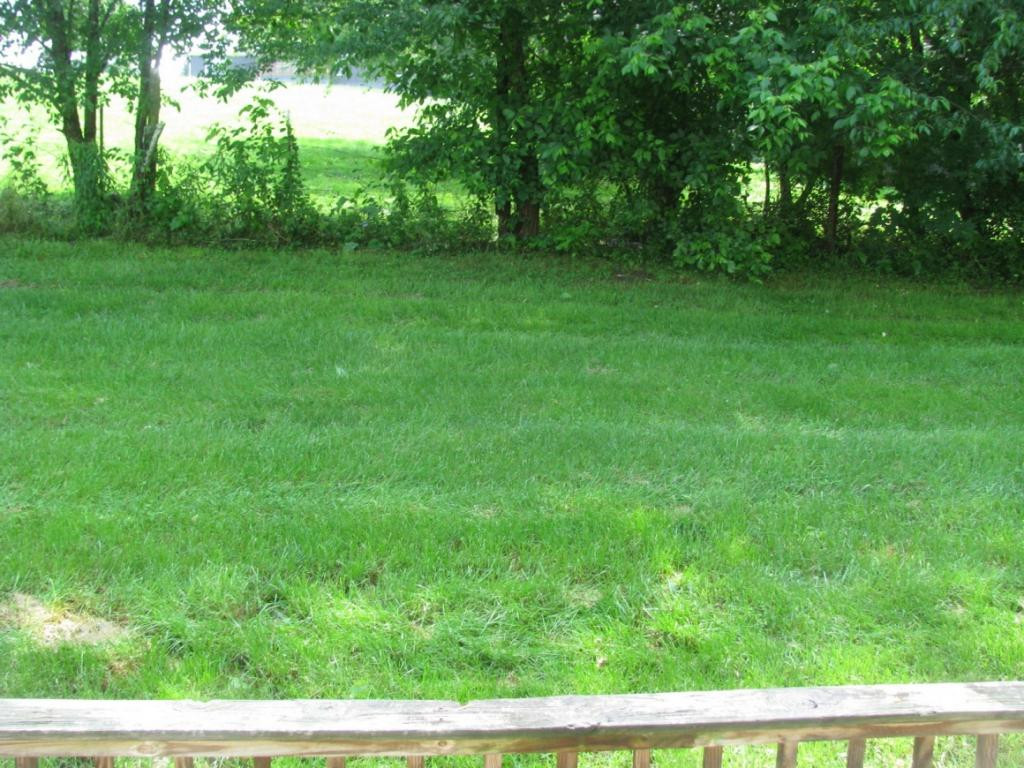 20006 Haskell Station Road Bristol, VA 24202 - Photo 4 of 21 Photo 4