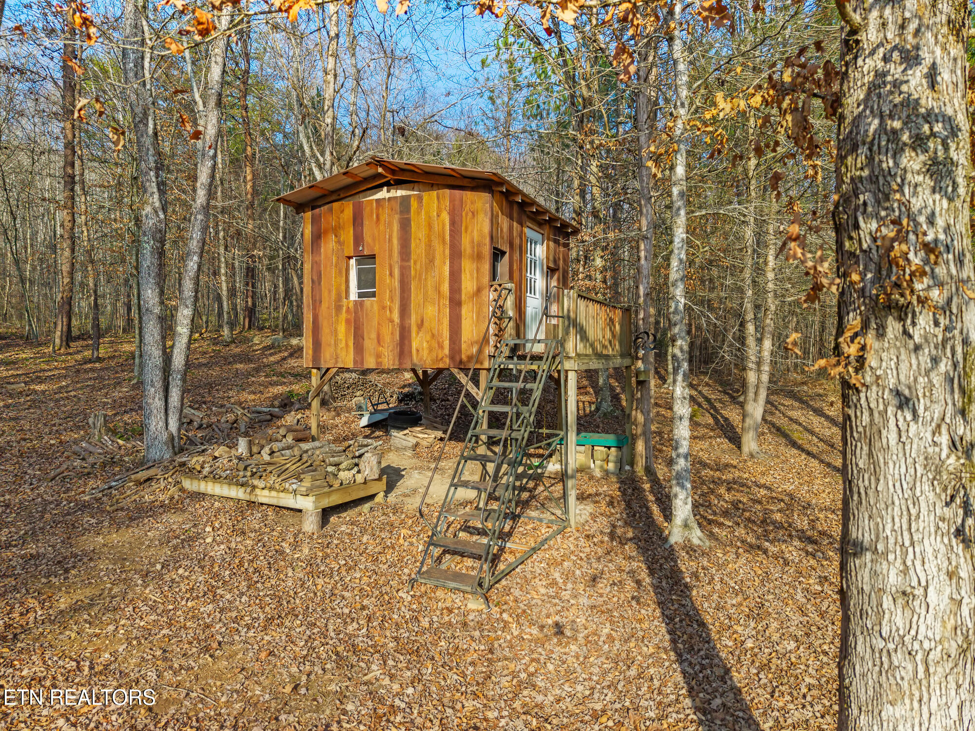 185 Bivens Road Tellico Plains, TN 37385 - Photo 33 of 34 185 Bivens Rd-29