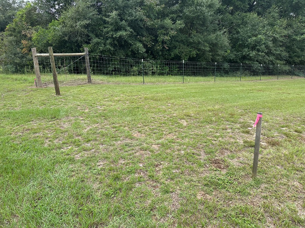 Undisclosed Address Newton, AL 36352 - Photo 7 of 13