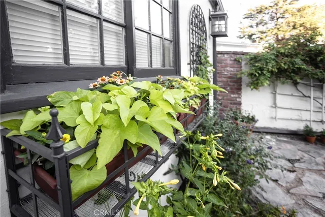 a view of a balcony with chair and potted plants