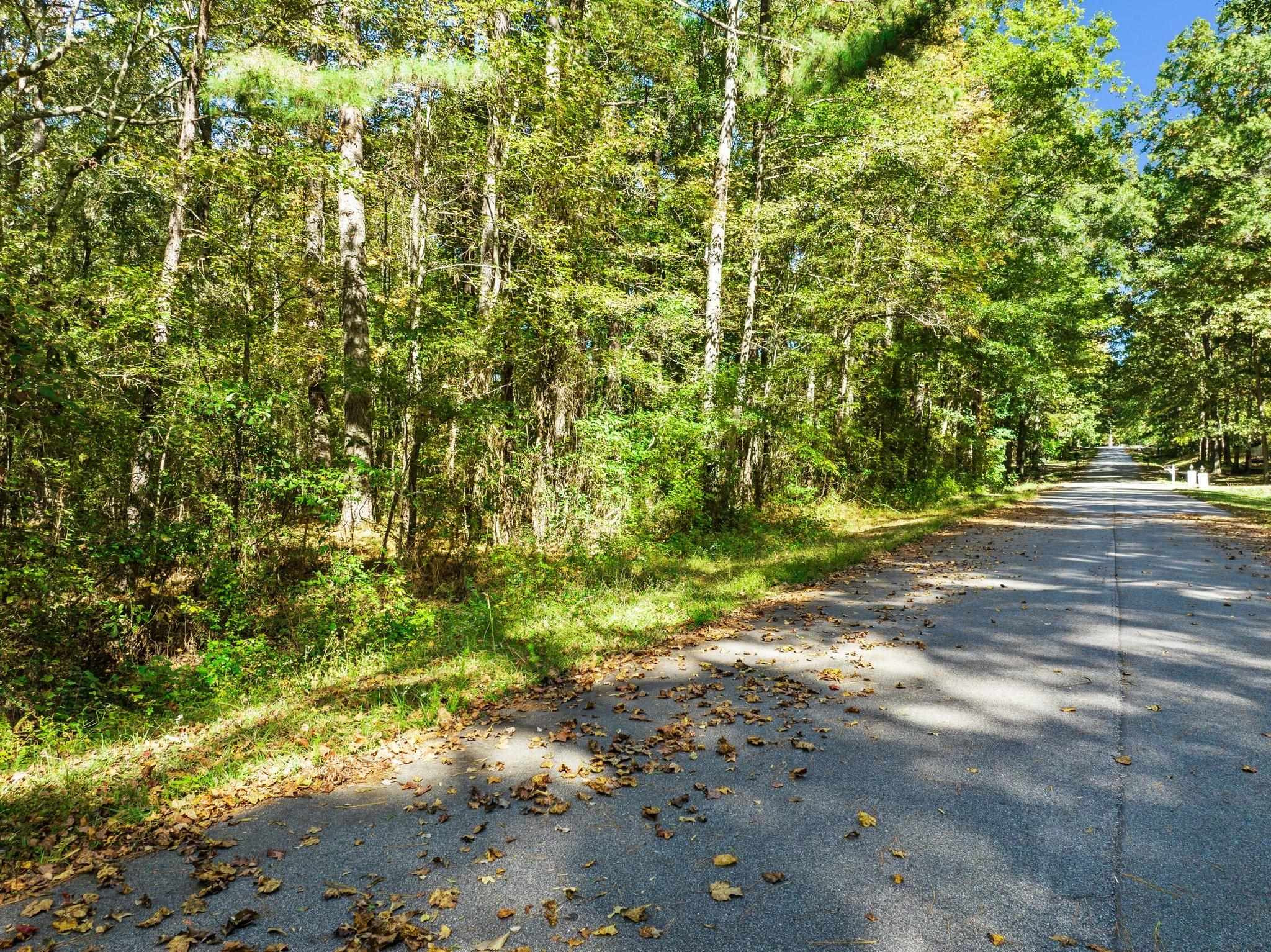 0 Quincy Downs Road Zebulon, NC 27597 - Photo 1 of 11 Photo 1