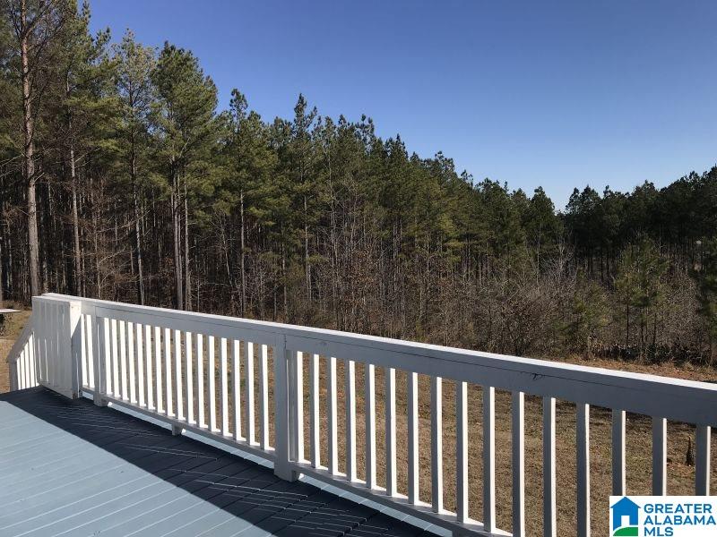 1046 Tom Cat Road Piedmont, AL 36272 - Photo 39 of 43