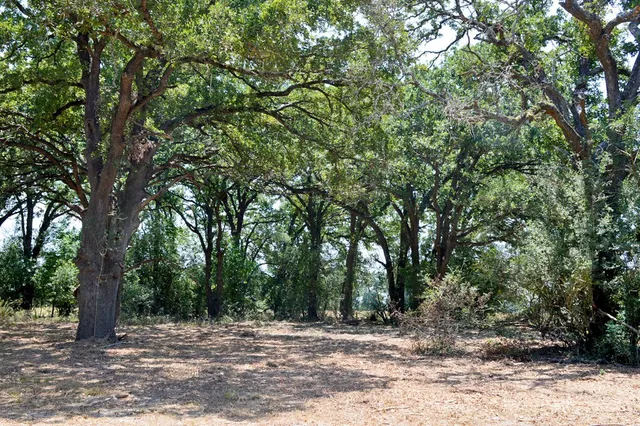 a view of white wall with a yard