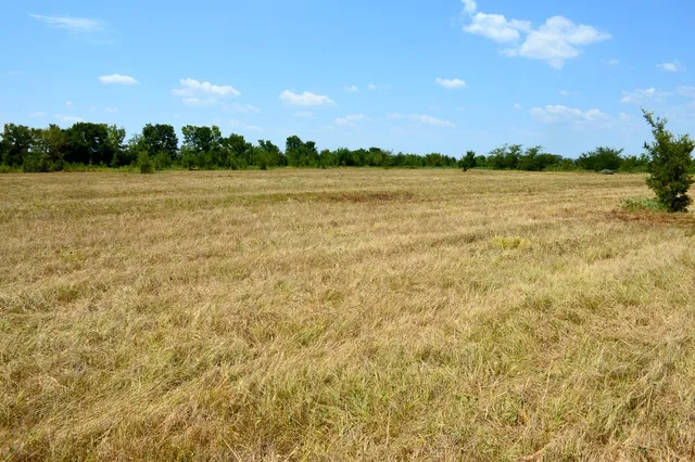 a view of a field with an ocean