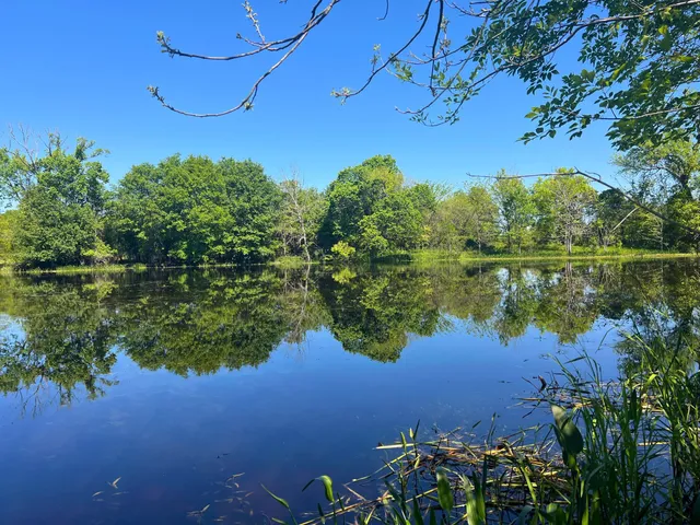 a view of outdoor space with trees