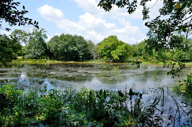 a view of a lake view