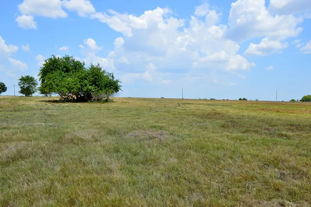 a view of a yard with a tree