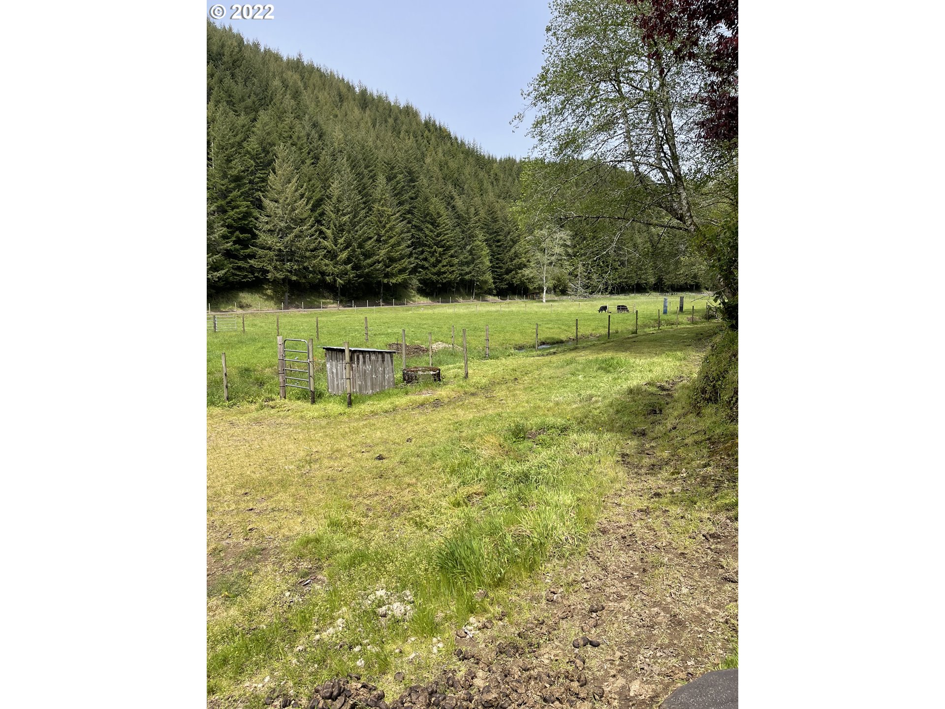 1891 Oar Creek Road Reedsport, OR 97467 - Photo 24 of 31 a view of a yard