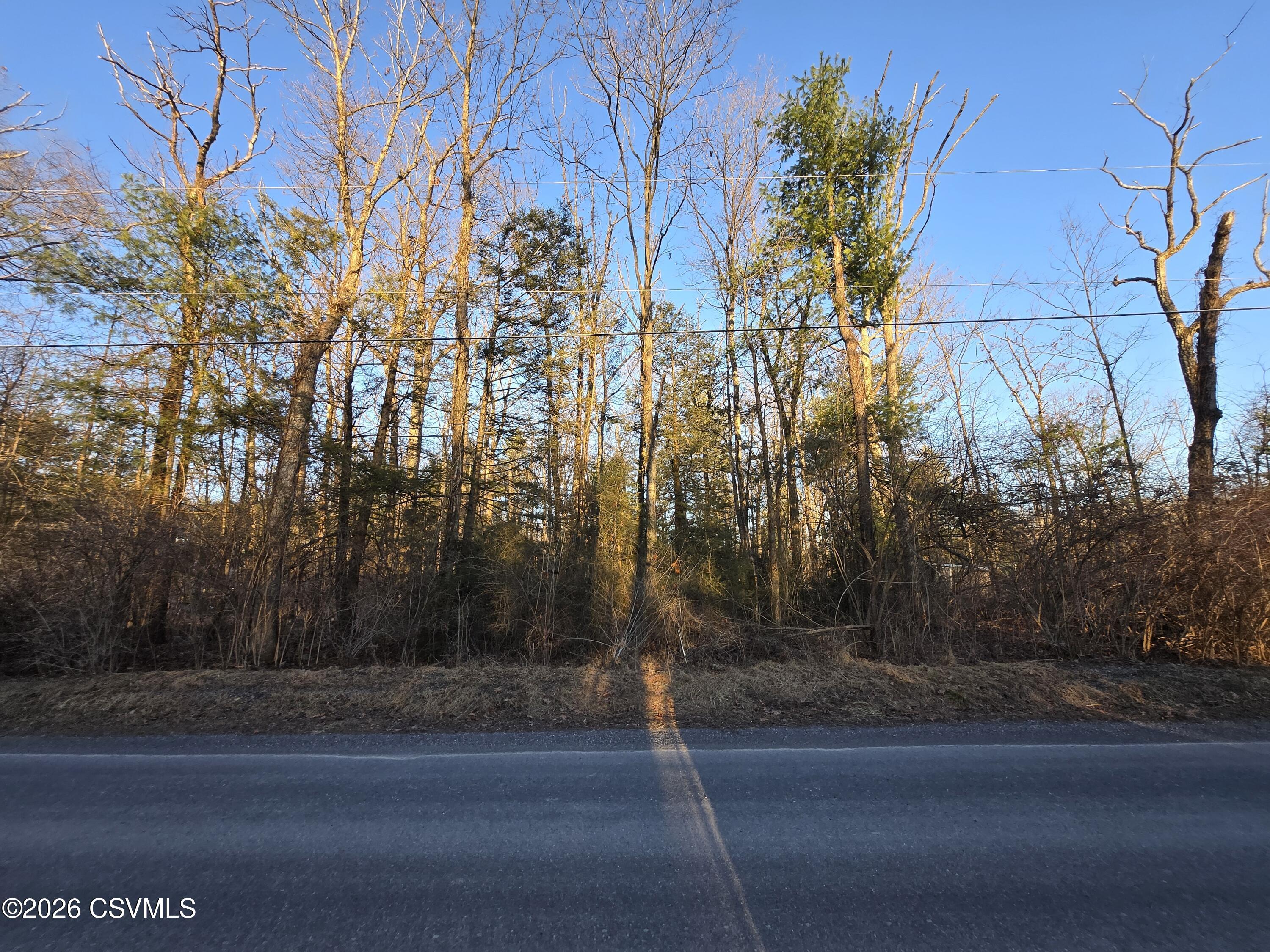 Lot 2 Diehl Road Mifflinburg, PA 17844 - Photo 1 of 9