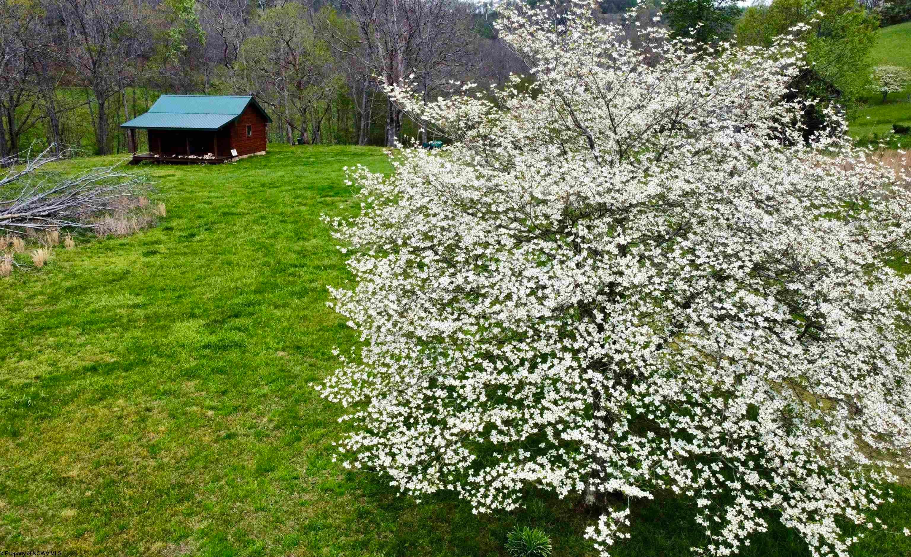 5601 Clover Fork Road Orlando, WV 26412 - Photo 6 of 44 Gallery Image 6