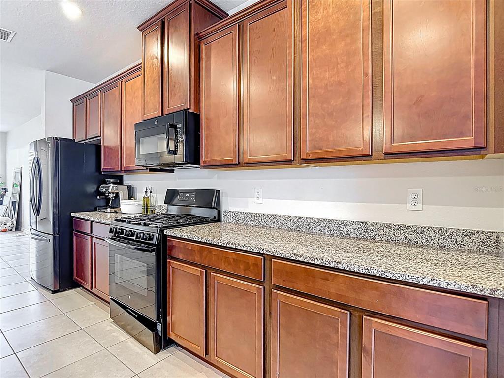 2343 Pergola Way Odessa, FL 33556 - Photo 13 of 45