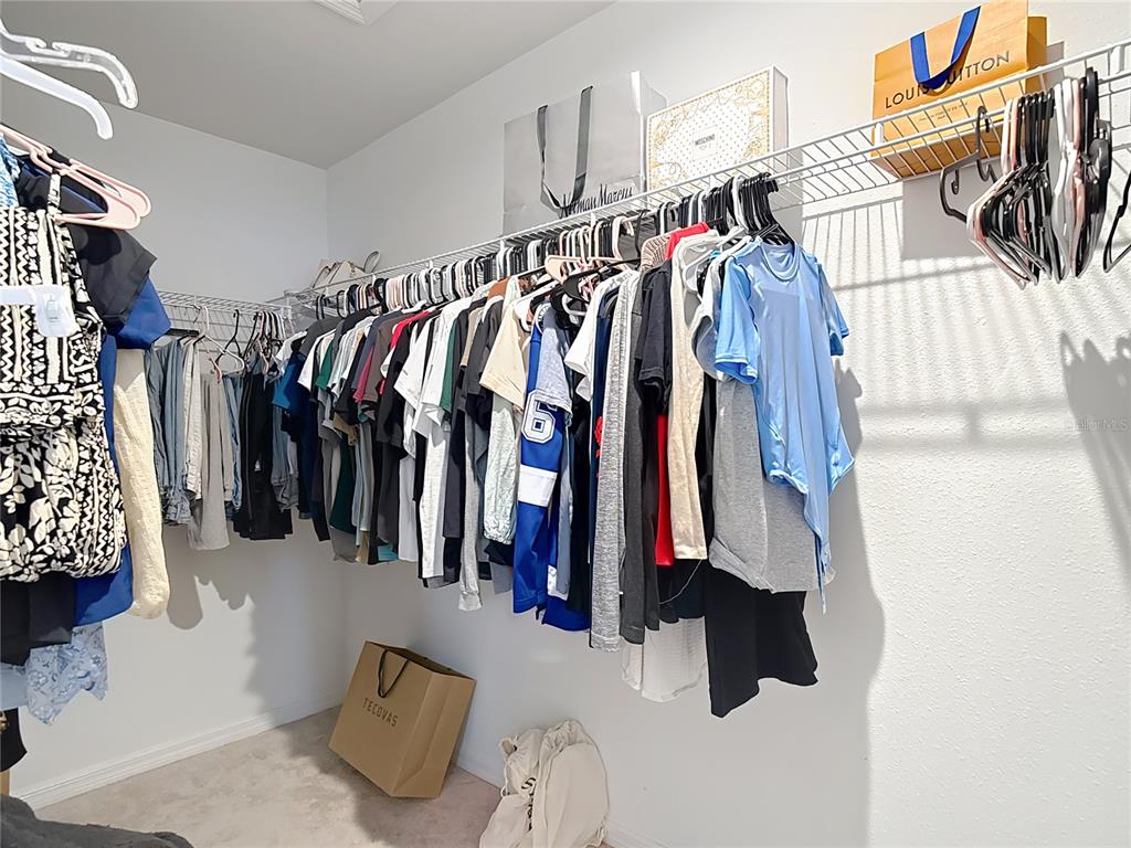 2343 Pergola Way Odessa, FL 33556 - Photo 24 of 45