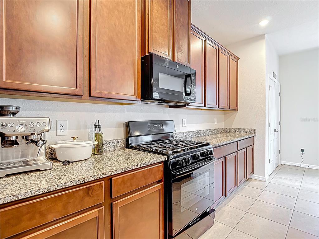 2343 Pergola Way Odessa, FL 33556 - Photo 10 of 45