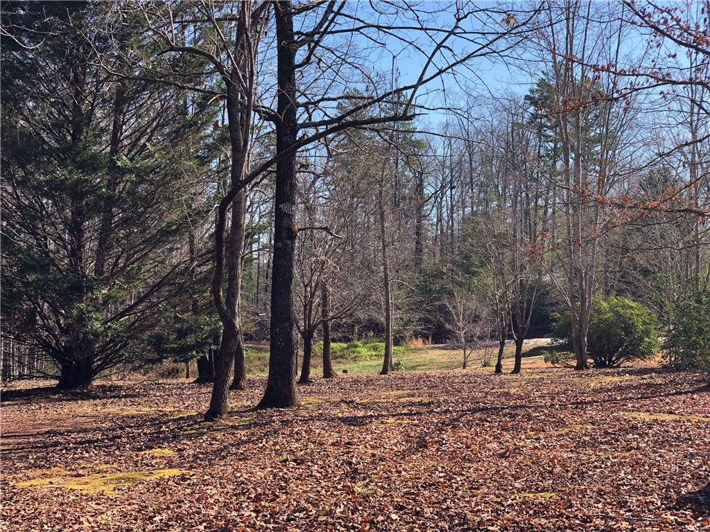 270 State Rd S-37-534 Salem, SC 29676 - Photo 29 of 45 Gallery Image 29