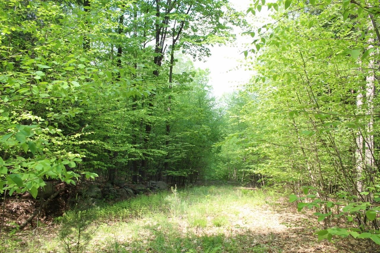 Piper Road Chester, VT 05143 - Photo 4 of 4