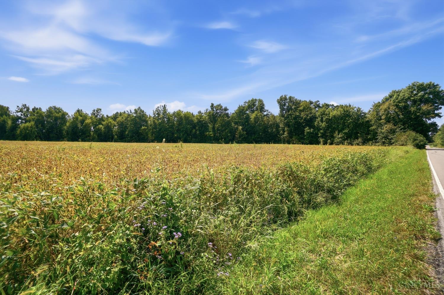 0 Sodom Road Hamersville, OH 45130 - Photo 15 of 19 Gallery Image 15