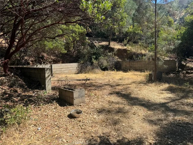 a view of a forest with trees in the background