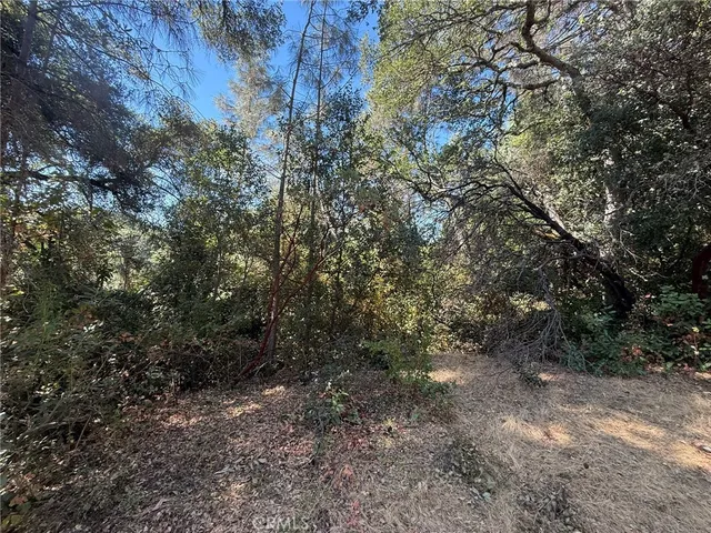 a view of a yard with trees