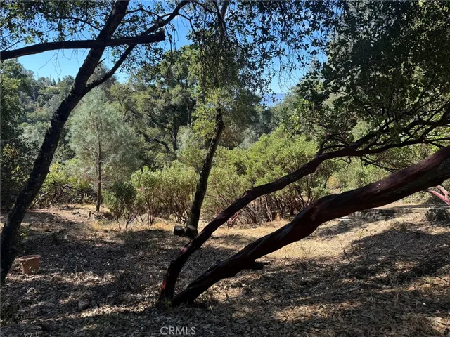 a view of a yard with a tree